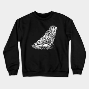 Kestrel Crewneck Sweatshirt